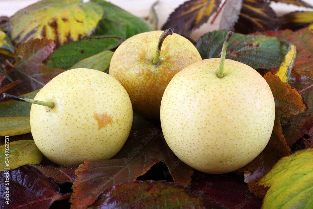 Pears on autumn leaves