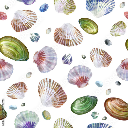 Watercolor illustration. Pattern of sea shells and sea stones on a white background. Summer theme, beach and relaxation.