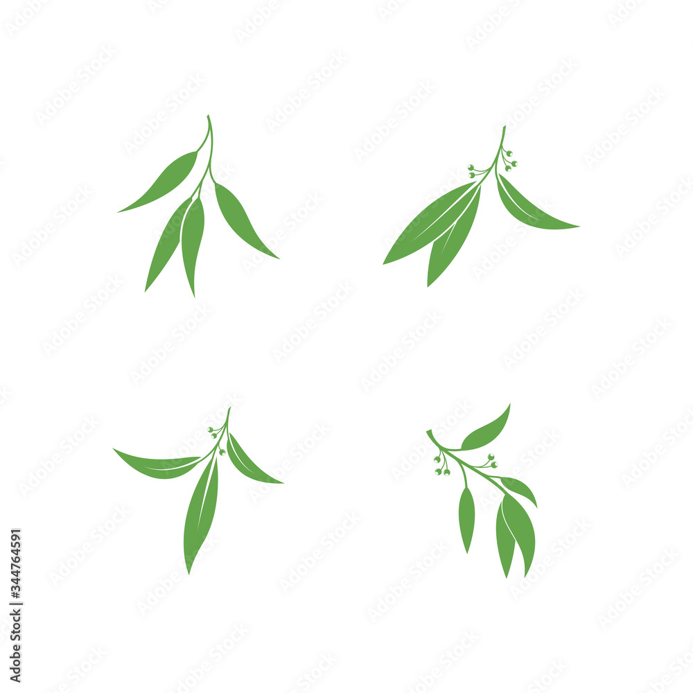 Eucalyptus leaves logo vector template design