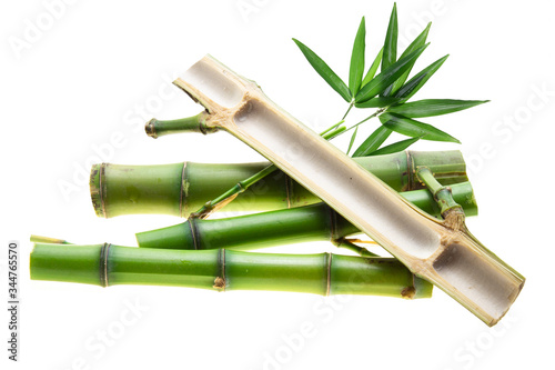 Branches of bamboo isolated on white background