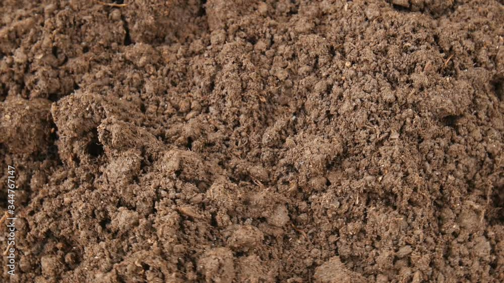 Soil for seedlings. Soil for seedlings.