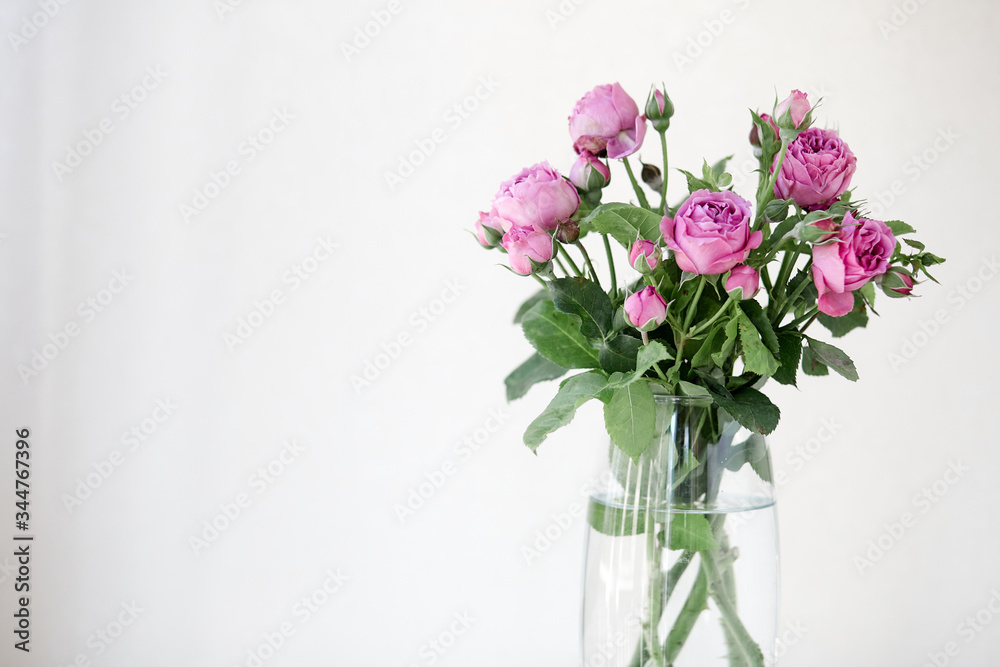 A vase filled with purple rose flowers A vase filled with purple rose flowers