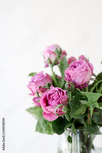 A close up of a rose flower © Никита Стародубцев