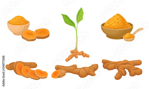 Turmeric Plant with Root and Powder in Bowl Vector Set