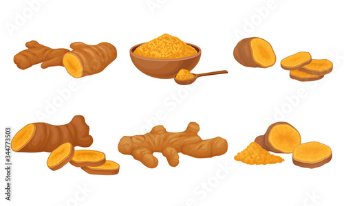Turmeric Plant with Root and Powder in Bowl Vector Set