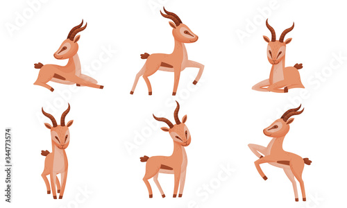 Impala Animal with Horns in Different Poses Vector Set