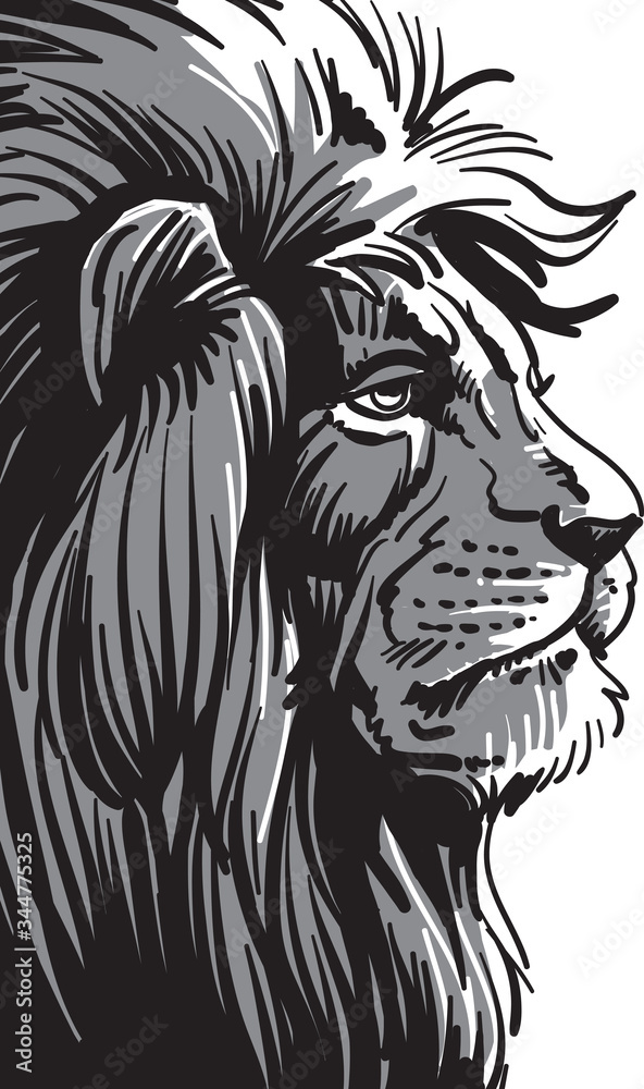 Naklejka premium lion head vector
