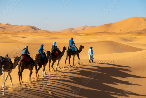 Tourists riding camels across Sahara dunes near Merzouga