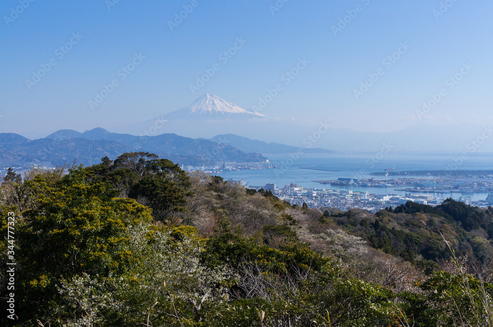 静岡県日本平からの富士山