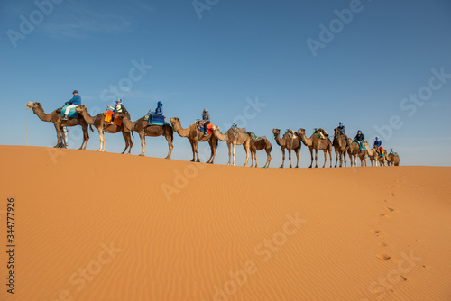 Tourists riding camels across Sahara dunes near Merzouga