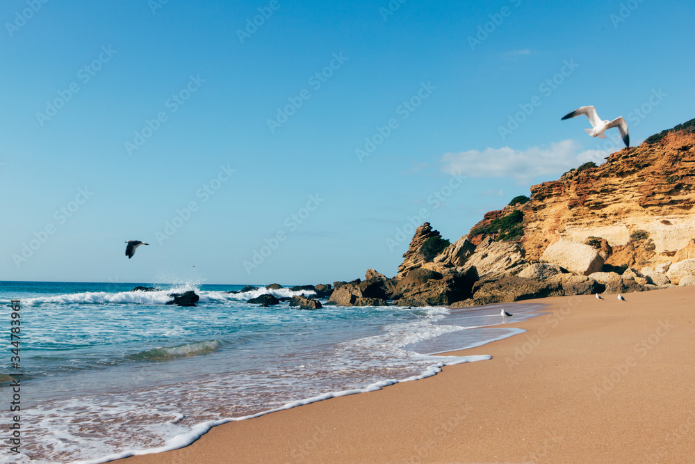 Seagulls gulls flying above ocean seasade, with waves, sand and rocks 