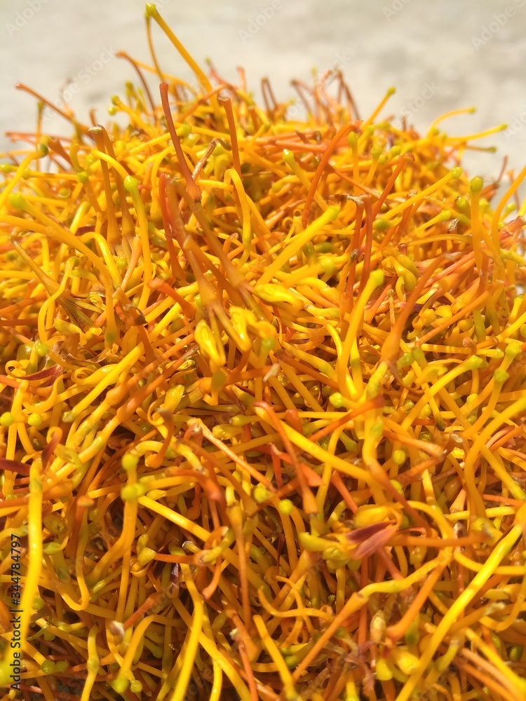 close up of saffron