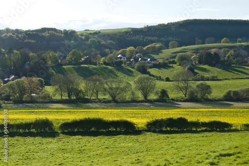 Spring Yorkshire Landscape