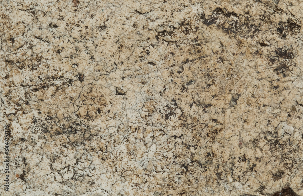 abstract background, wall texture, mortar background, cement texture
abstract background, wall texture, mortar background, cement texture