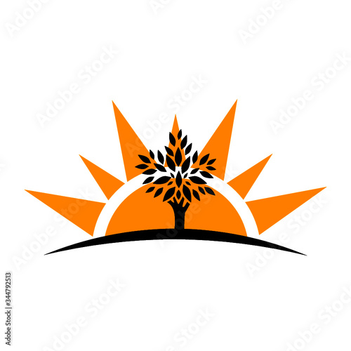 Tree silhouette icon with sun isolated on white background