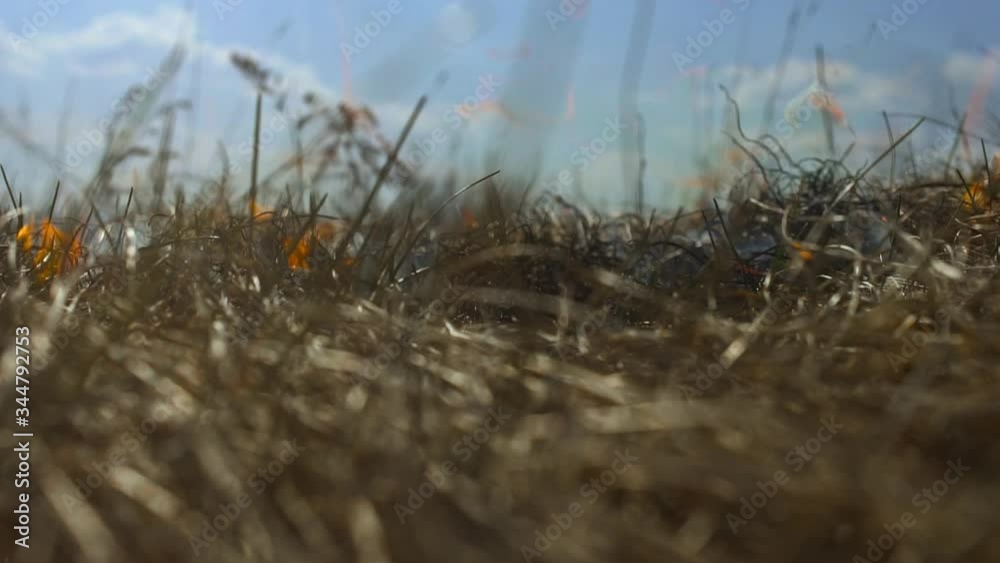 Dry grass is burning, there is smoke. Arson attack. Fire destroys vegetation. Closeup in slow motion. Smoking and careless handling of fire. Low angle shot, bottom view Dry grass is burning, there is smoke. Arson attack. Fire destroys vegetation. Closeup in slow motion. Smoking and careless handling of fire. Low angle shot, bottom view