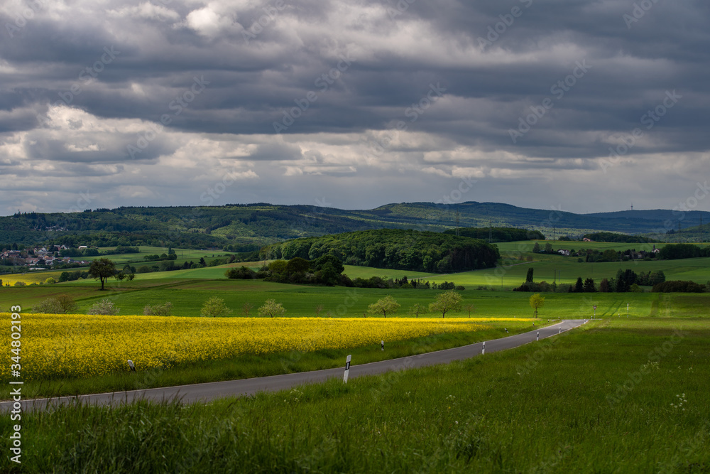 Landstraße bei Waldalgesheim Landstraße bei Waldalgesheim