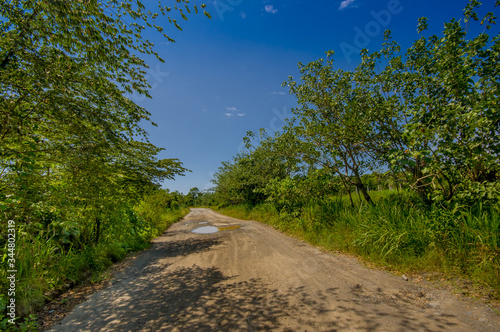 Rocky pavement road in the coast, surrounded with abundat vegetation in a sunny day in the Ecuadorian coasts photo