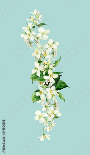 Watercolor composition of white jasmine flowers
