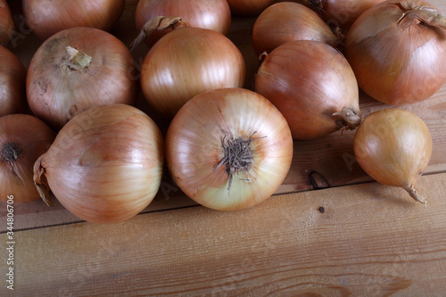 Onion on table