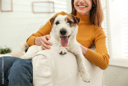 Young woman with her Jack Russell Terrier in armchair at home. Lovely pet