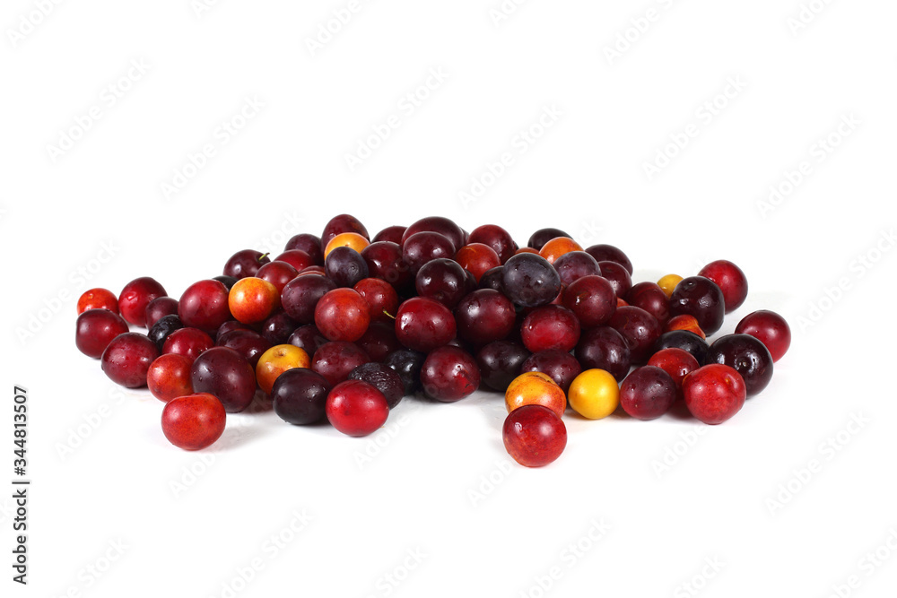 Different plum varieties Different plum varieties
