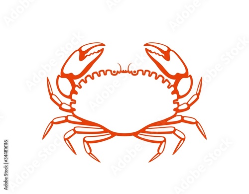 Crab logo. Isolated crab on white background