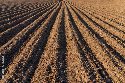 Plowed soil for planting potatoes, visible even rows of soil and sharp shadow of the sun.
