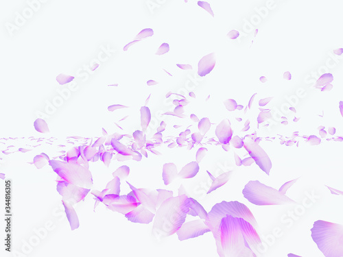 Many flower petals blown 3d