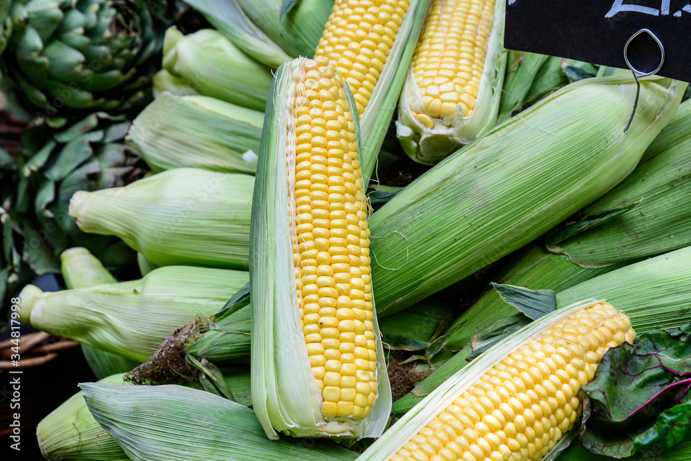Fresh ripe fresh organic green yellow sweet corn displayed for sale at a street food market, side view of healthy vegan food photographed with soft focus at Borough Market in London
Fresh ripe fresh organic green yellow sweet corn displayed for sale at a street food market, side view of healthy vegan food photographed with soft focus at Borough Market in London