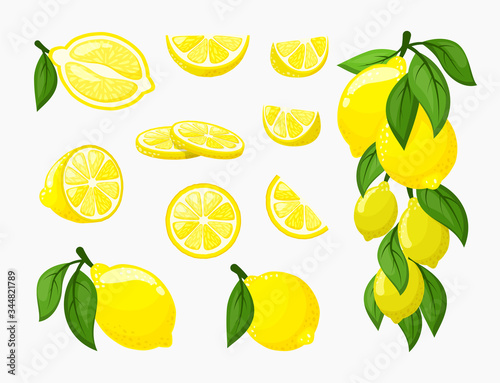 Set of lemons. Illustration of yellow citrus fresh juicy, a bunch of ripe lemon on a branch with leaves, organic vitamin , whole and cut. Vector graphics in flat style, clipart.