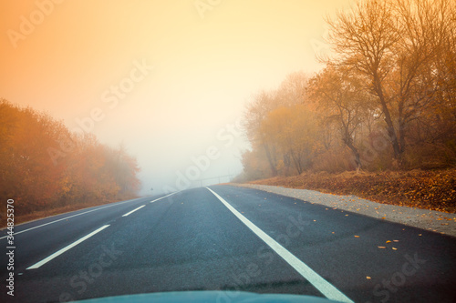 Highway in the autumn misty morning. Nature landscape