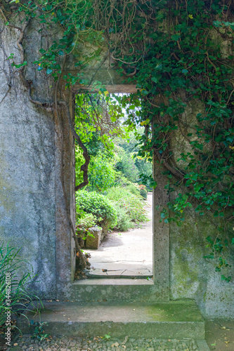 Fototapeta Naklejka Na Ścianę i Meble -  stairway to the garden