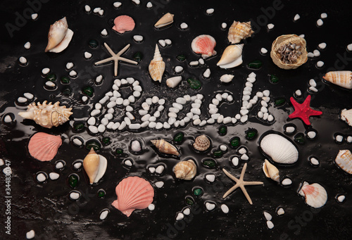 Seashells on raindrops on a black background. Sea summer vacation background with text Beach.