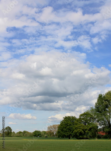 Wolkenbildung mit blauen Himmel, Feld und Bäumen