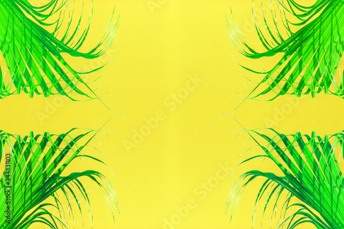 palm trees background