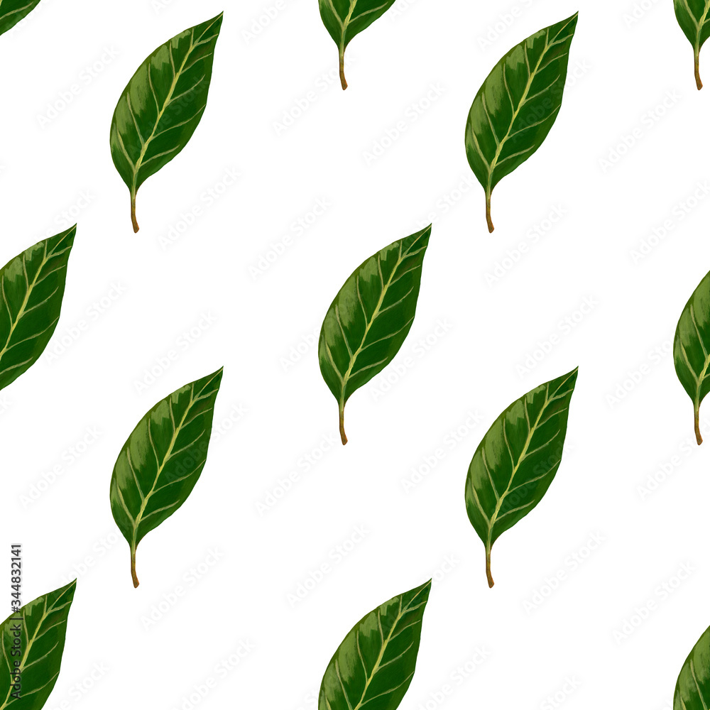 Hand drawn square illustration of avocado leaf in realistic style. Seamless pattern and avocado leaf isolated on white background