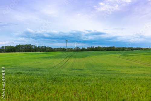 green field and blue sky © HERREPIXX