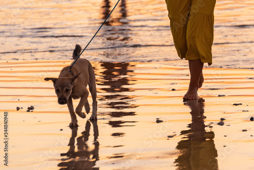Walking the dog on the beach at dusk