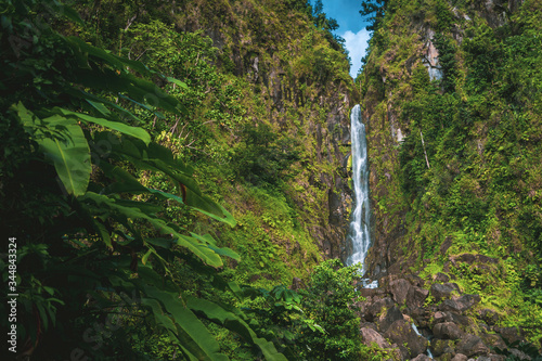 emerald waterfall in tropical green rainforest, Dominica, Caribbean Island
