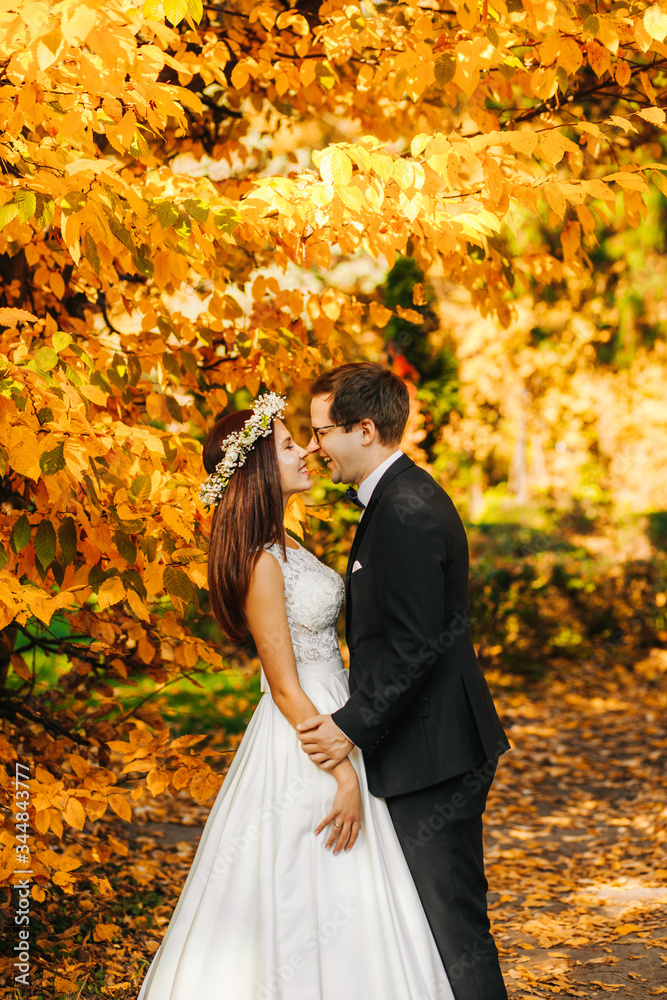 A wedding couple kisses on the nature in the park. Landscape A wedding couple kisses on the nature in the park. Landscape