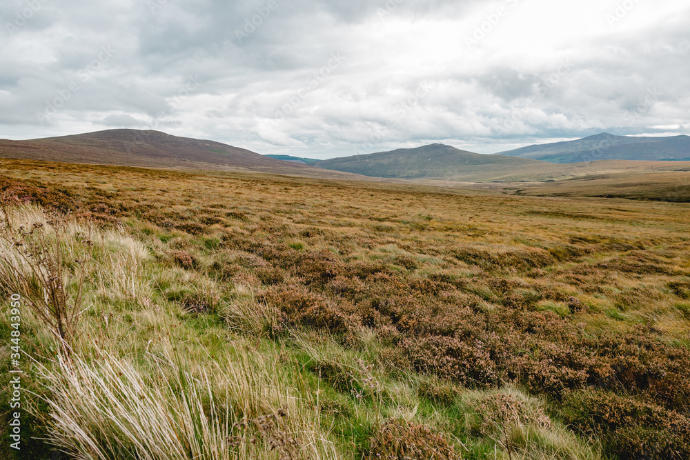 Obraz premium Irland Wicklow Mountains National Park Military Road Ebene