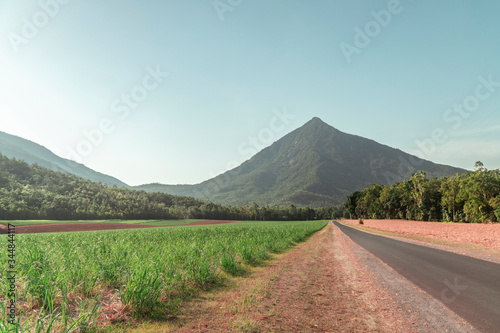 Beautiful mountain landscape with sugar cane fields foreground. Dramatic view of Road, fields, trees, green forest, farm, mountains, blue sky & road. Shot in Walsh's Pyramid, Cairns, Australia.