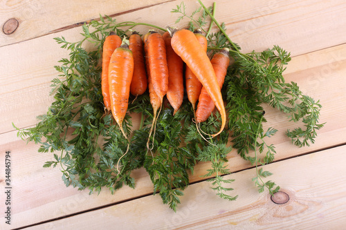 Carrots on table. Harvest