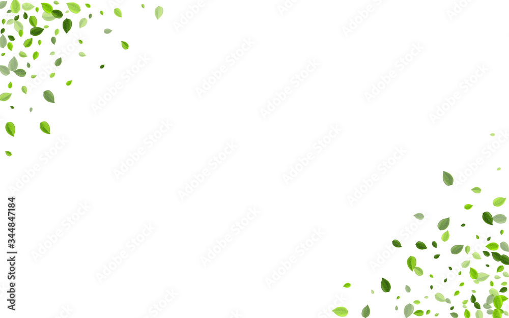Mint Leaves Fresh Vector Design. Transparent Mint Leaves Fresh Vector Design. Transparent