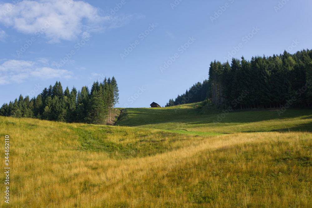 Beautiful meadow in the Alps at dawn  (Filzmoos, Austria)