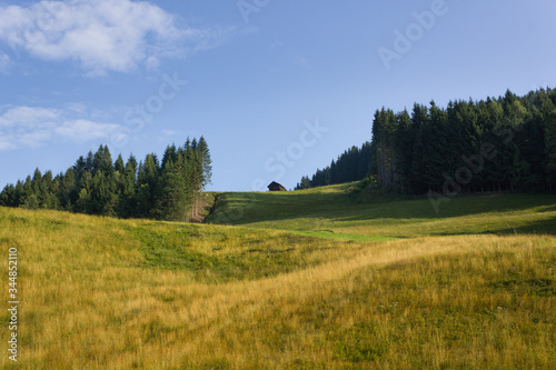 Beautiful meadow in the Alps at dawn   Filzmoos  Austria 