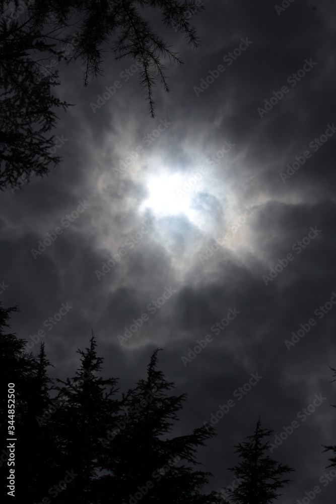 Naklejka premium Perception