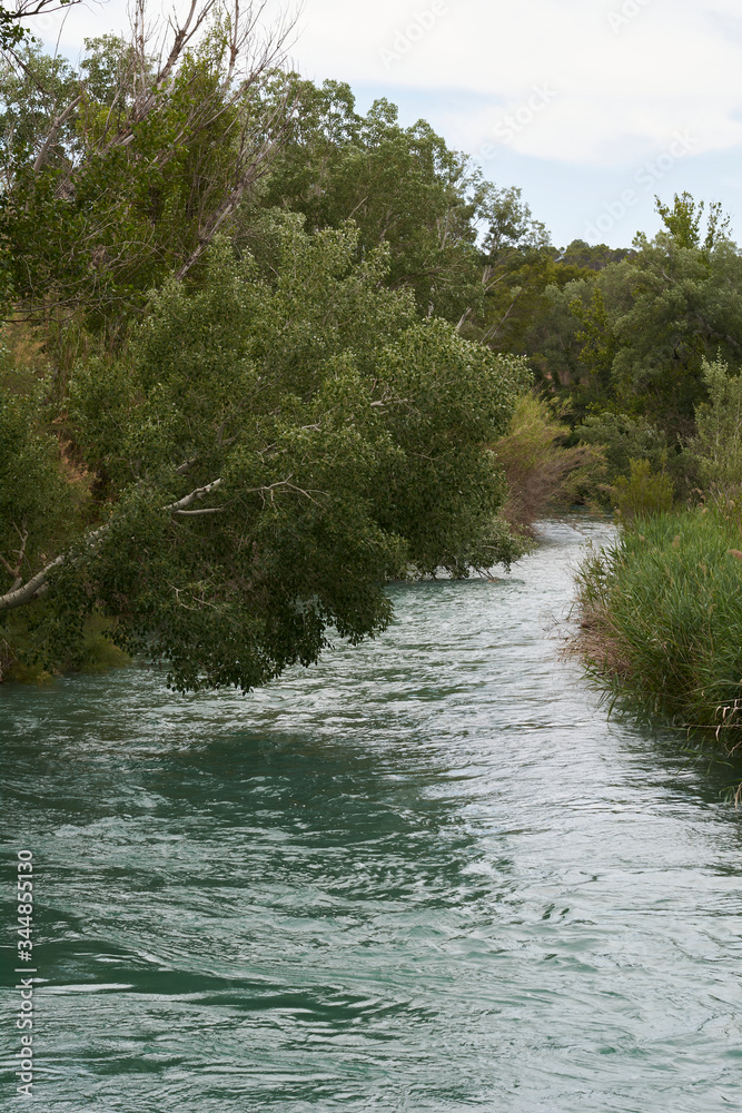 Flowing river among the vegetation Flowing river among the vegetation