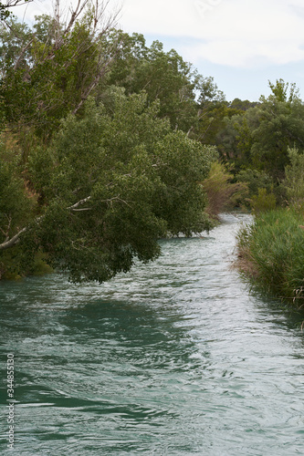 Flowing river among the vegetation